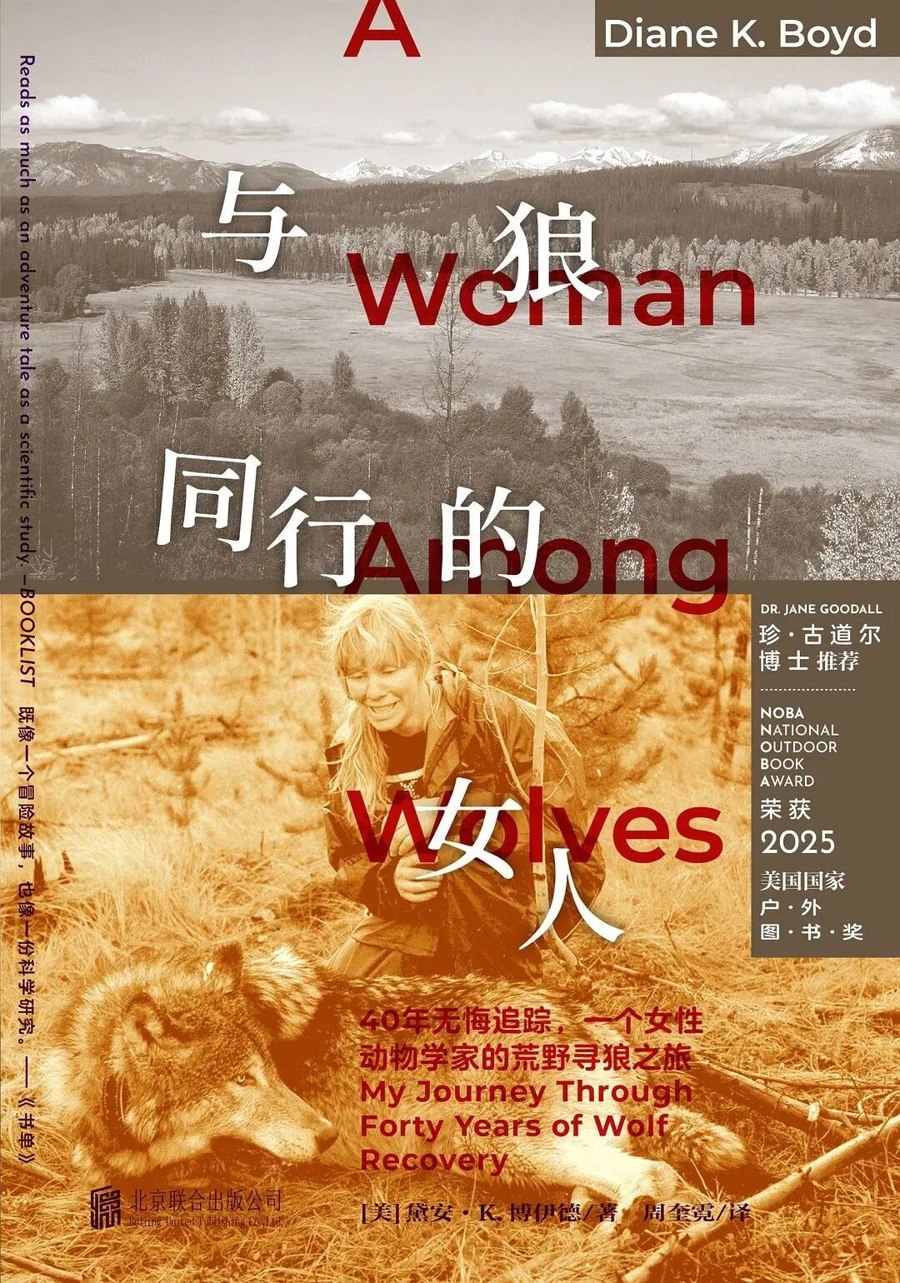 制胜：第二次世界大战的策与略-书籍-学习资料-电子书夸克网盘资源分享