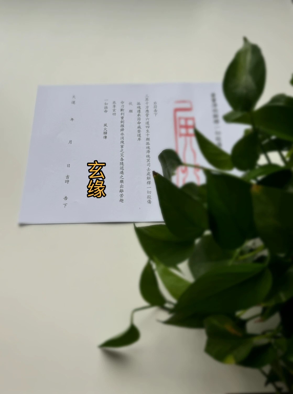 明师苑现场寻龙点穴视频46集-书籍-学习资料-电子书夸克网盘资源分享