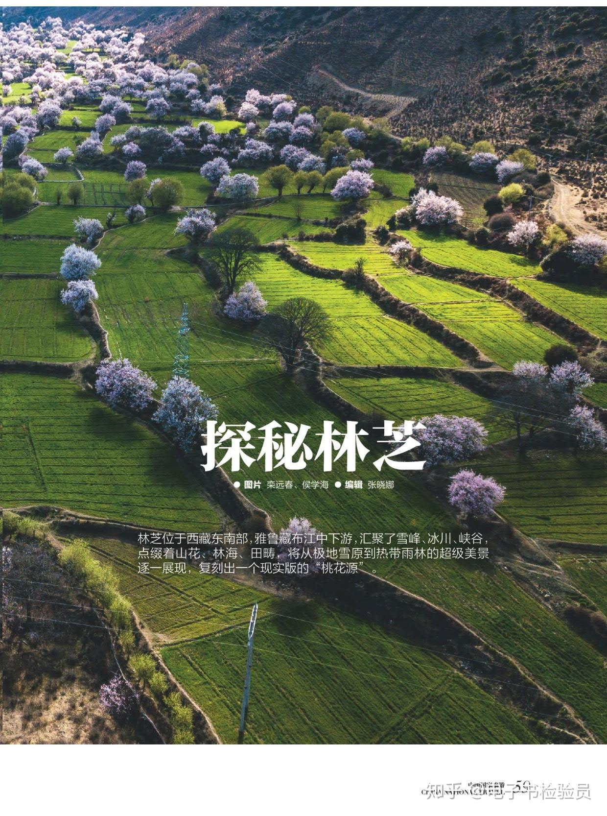 尤尤-心灵桃花源-书籍-学习资料-电子书夸克网盘资源分享