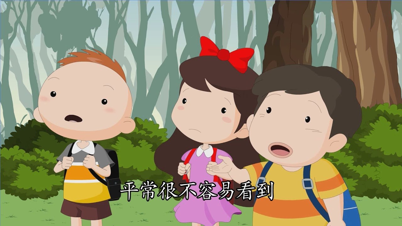 YouTube儿童教育频道HomeschoolPopKidsLearningVideos-书籍-学习资料-电子书夸克网盘资源分享