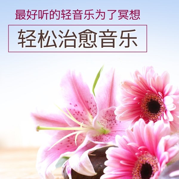 放松治愈轻音乐冥想疗愈卡农舒缓氛围音乐-书籍-学习资料-电子书夸克网盘资源分享