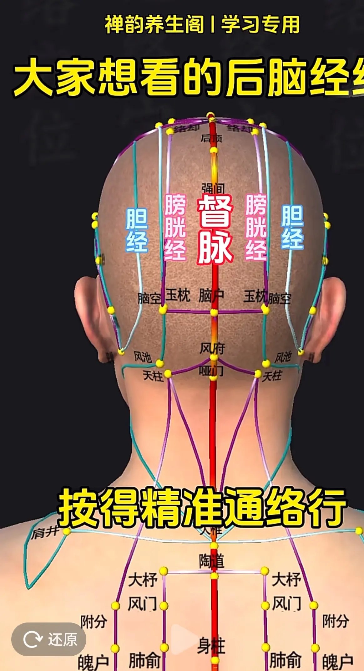 黄璟五行生活应用班-书籍-学习资料-电子书夸克网盘资源分享
