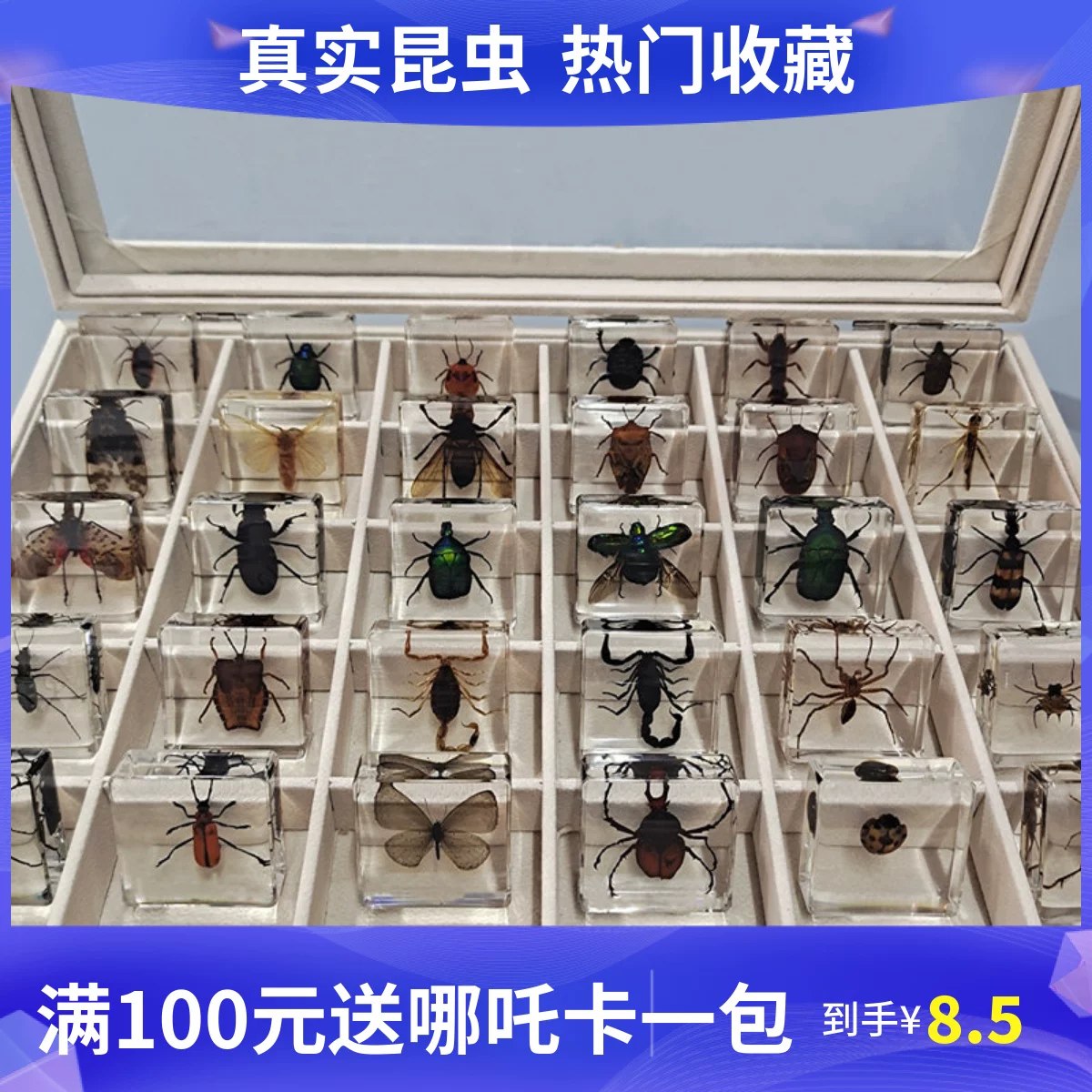 儿童趣味科学实验.99集全-书籍-学习资料-电子书夸克网盘资源分享