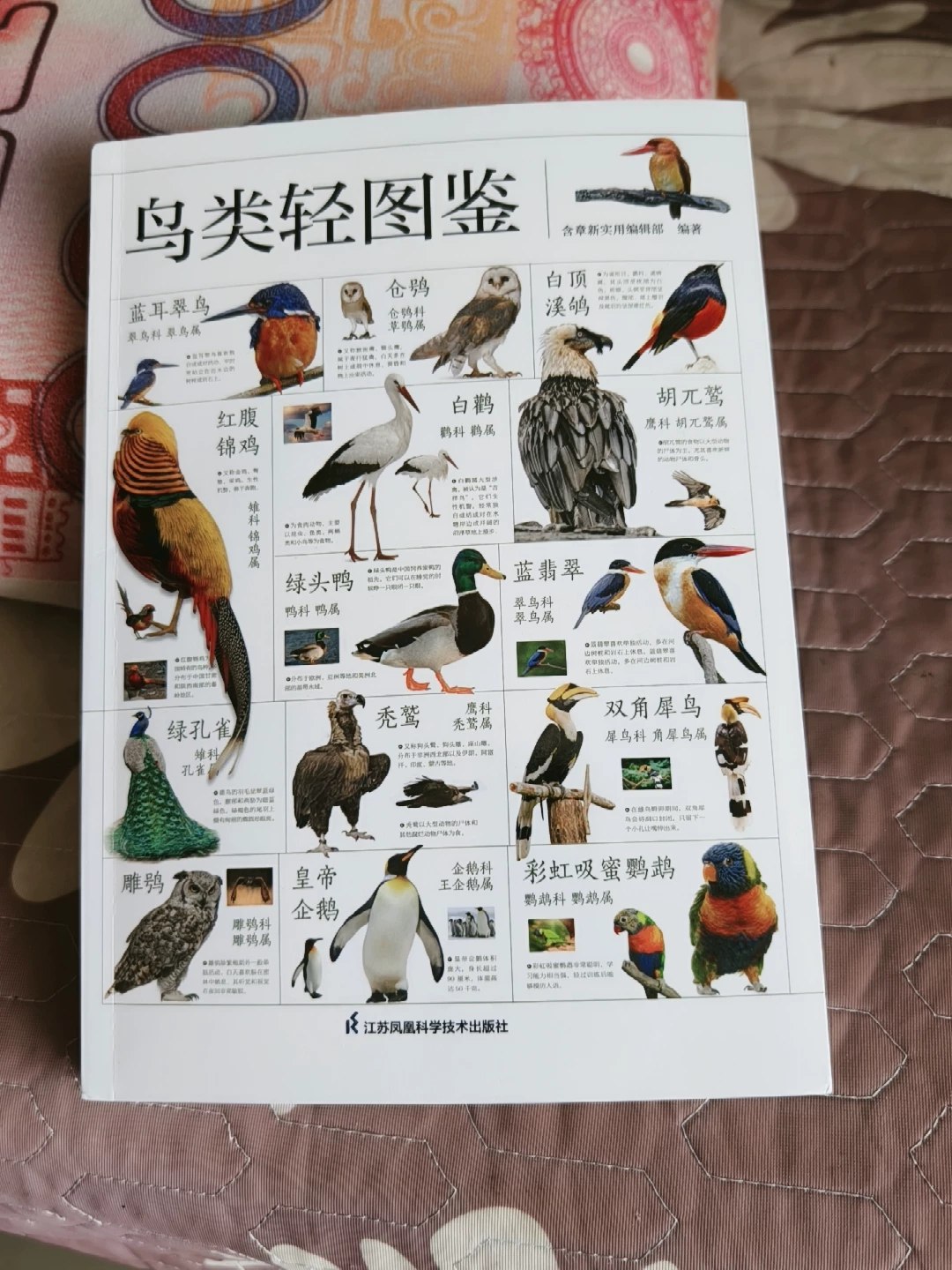 从一到无穷大-书籍-学习资料-电子书夸克网盘资源分享