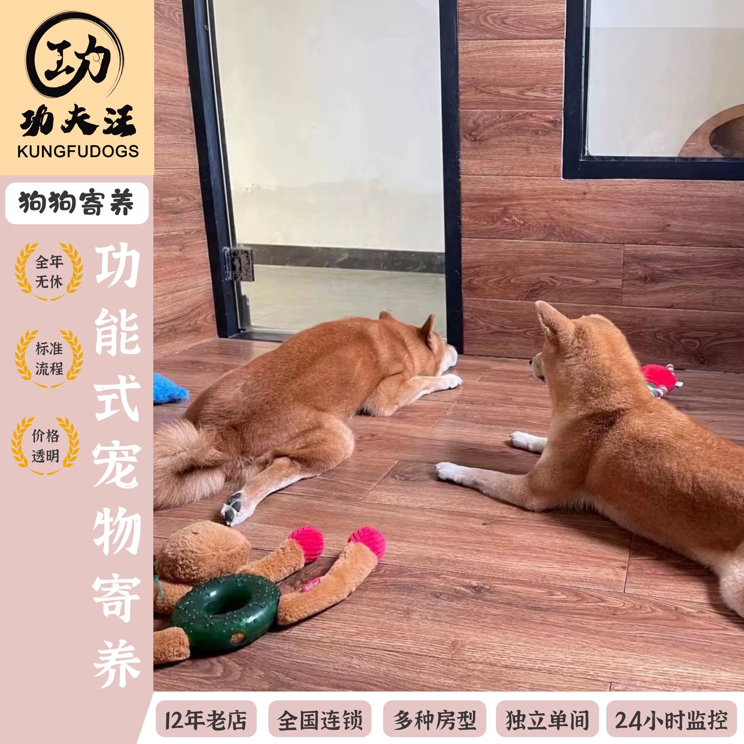 养狗宝典：10天养成狗狗好习惯-书籍-学习资料-电子书夸克网盘资源分享
