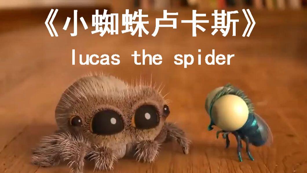 幼儿英语启蒙动画小蜘蛛卢卡斯LucastheSpider(中英字幕)-书籍-学习资料-电子书夸克网盘资源分享