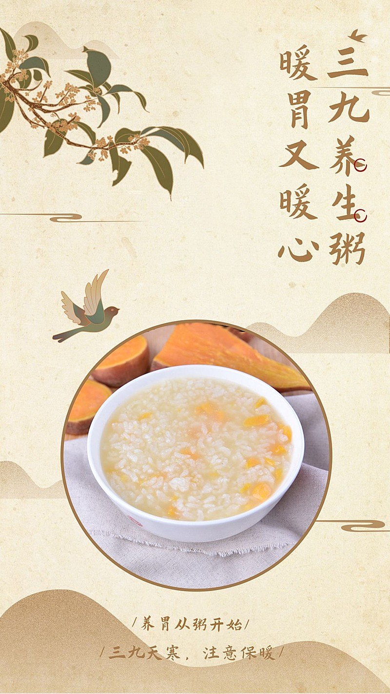 药食同源相关书籍-书籍-学习资料-电子书夸克网盘资源分享