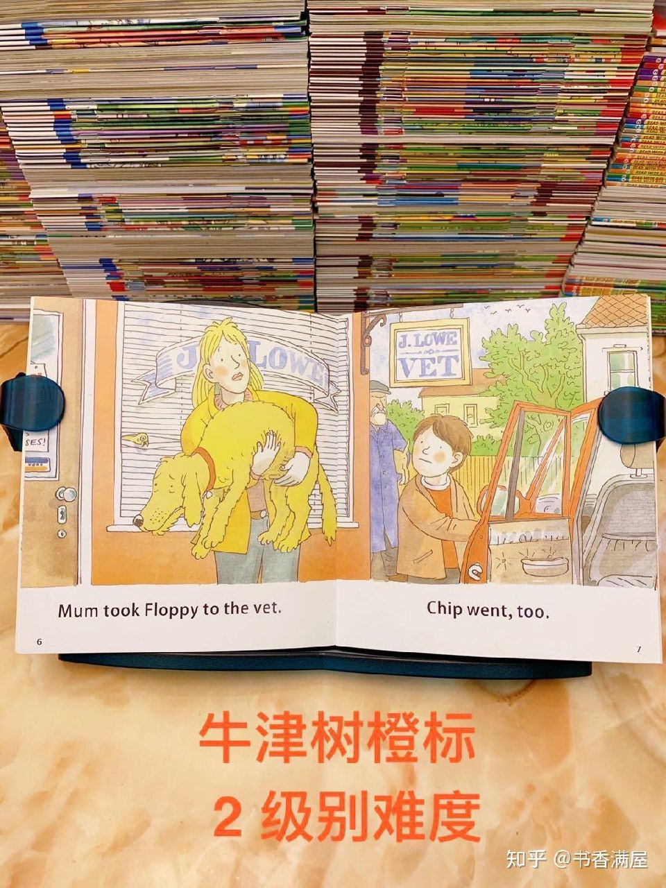 英语学习分级读物牛津书虫全系列(音频+文稿)-书籍-学习资料-电子书夸克网盘资源分享